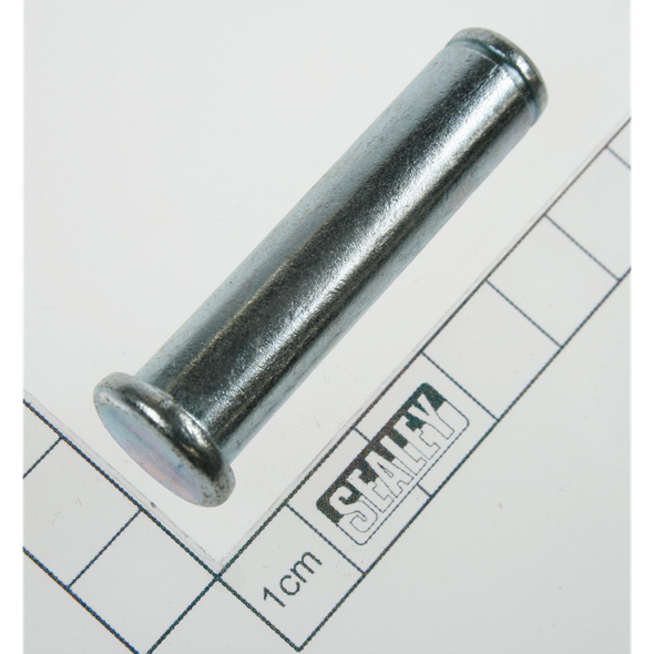 Sealey Pin (1)