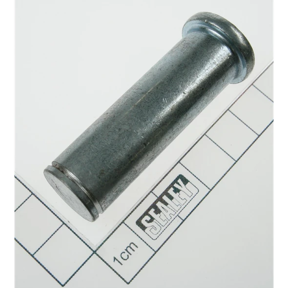 Sealey Pin (1)