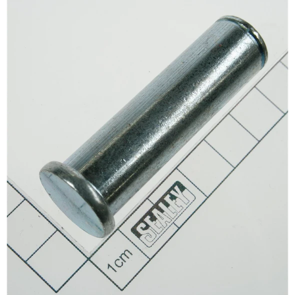 Sealey Pin (2) (so)