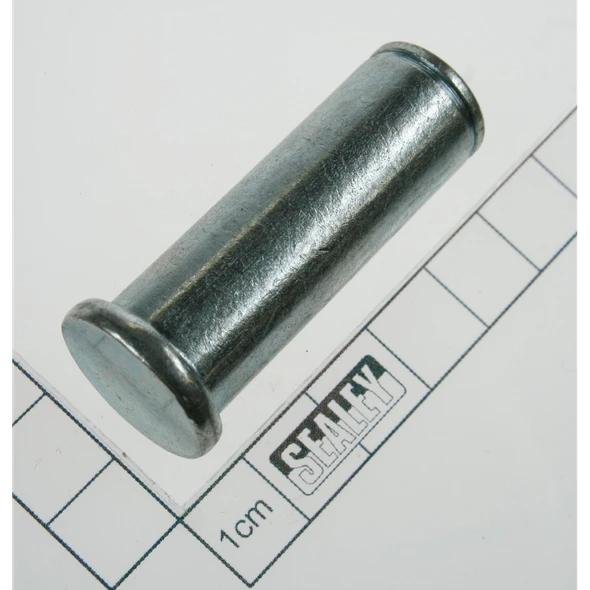 Sealey Pin (3)