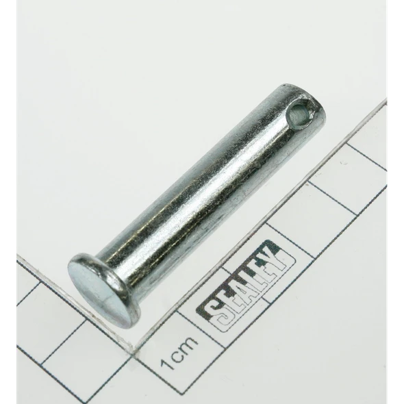 Sealey Pin (4)