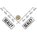 Sealey Teflon Seal