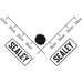 Sealey Sealing Gasket