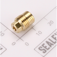 Sealey Needle Packing Screw HVLP04.06