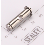 Sealey Hinge Pin HVLP04.29