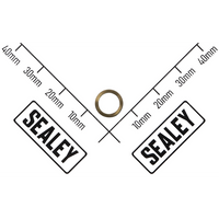 Sealey Air Valve Gasket