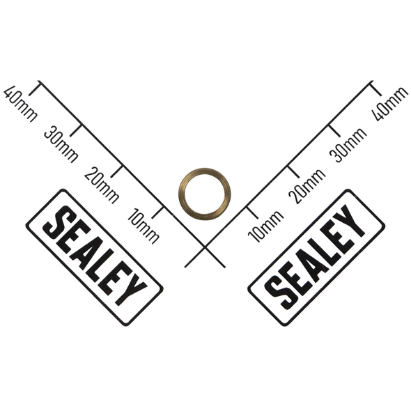 Sealey Air Valve Gasket