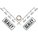 Sealey Air Valve Gasket