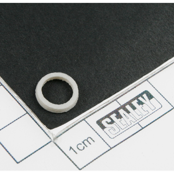 Sealey Air valve gasket
