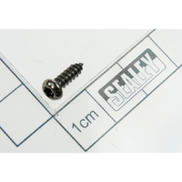 Sealey Rd head s/t screw(security)m3x10 IWMH1809R.01