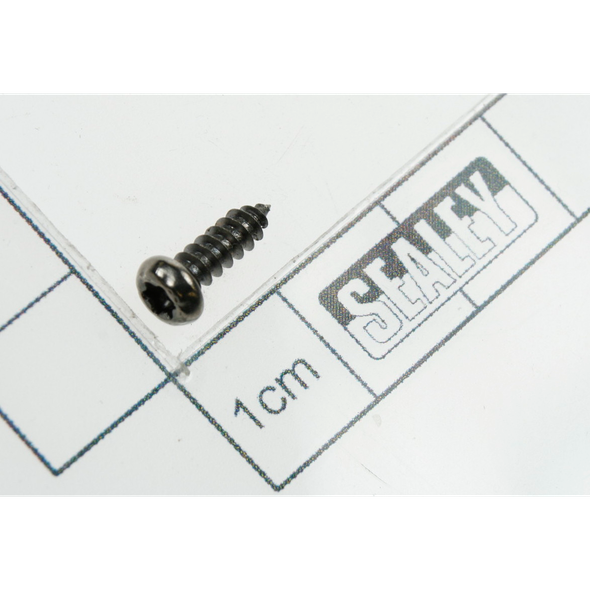 Sealey Rd head s/t screw(security)m3x10
