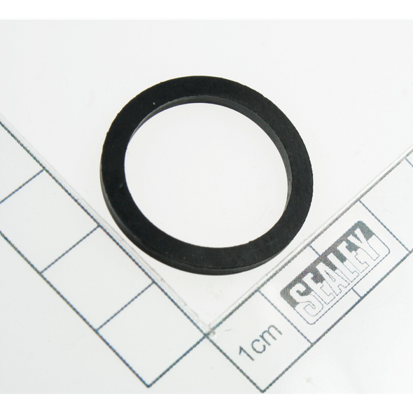 Sealey Hinge seal ring