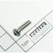Sealey Rd head s/t screw m4x14(security)
