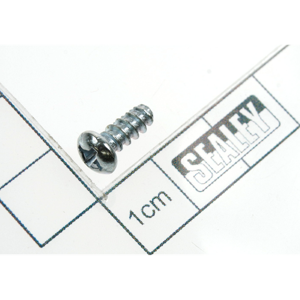 Sealey Rd head s/t screw m3.8 x 10