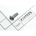 Sealey Rd head s/t screw m3.8 x 10