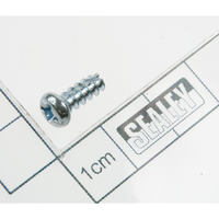 Sealey Rd head s/t screw m3.9 x 10 IWMH2003.13