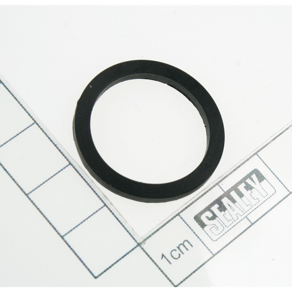 Sealey Hinge seal