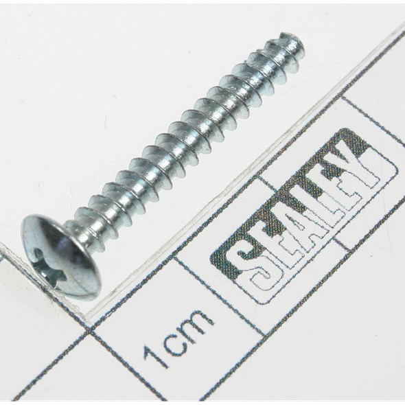 Sealey Rd head s/t screw m3.8 x 28