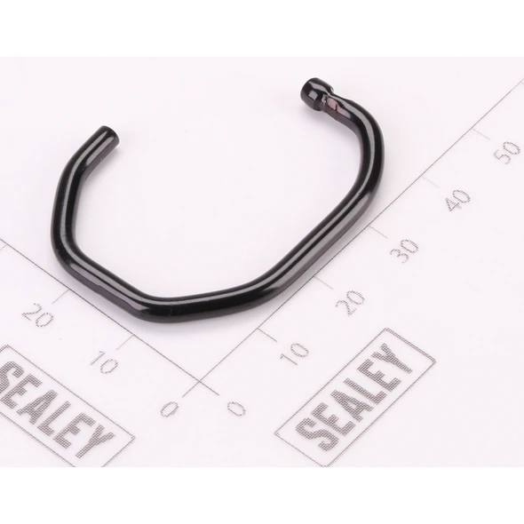 Sealey Hook