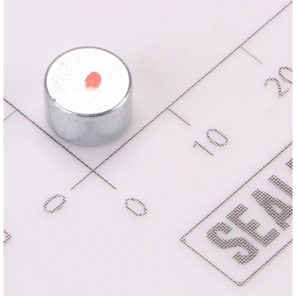 Sealey Magnet
