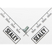 Sealey Screw m4x6