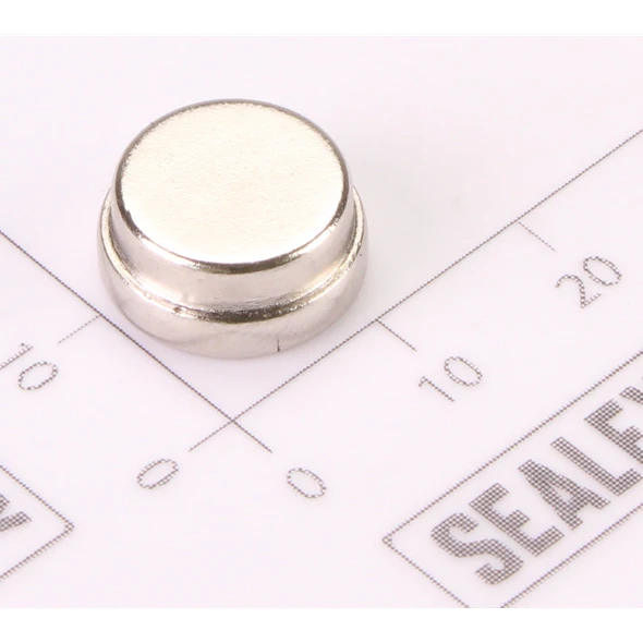 Sealey Magnet (B)