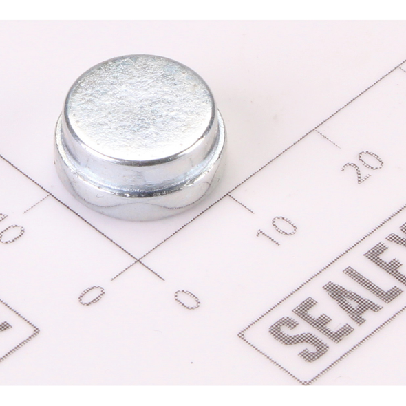 Sealey Magnet