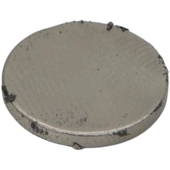 Sealey Magnet