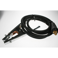 Sealey Clamp with cable M/MIG250.78