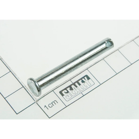 Sealey Pin