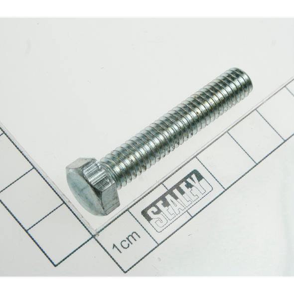 Sealey Screw (5/16 x 1-3/4)