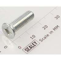 Sealey Csk phillips machine screw m6x20 (single) MSC620.S