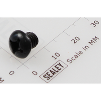 Sealey Machine screw pan head phillips m6x6mm black MSP66.SB