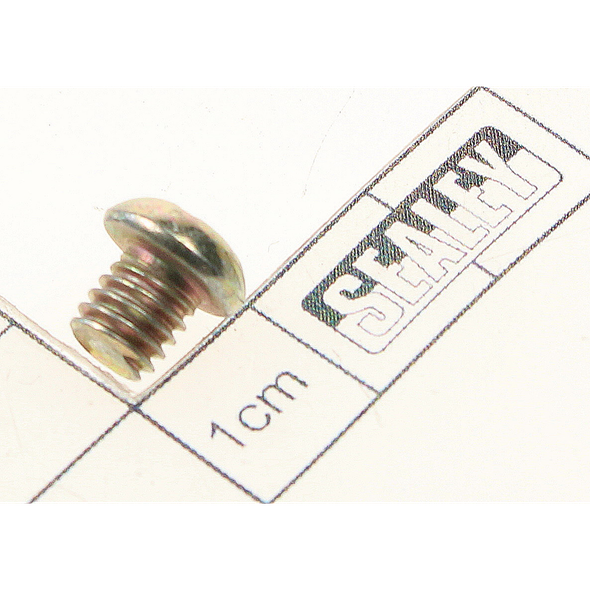 Sealey Pan head machine screw m6x6