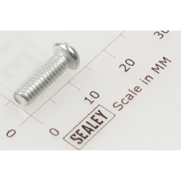 Sealey Machine screw pan head slotted m4x12mm (single)