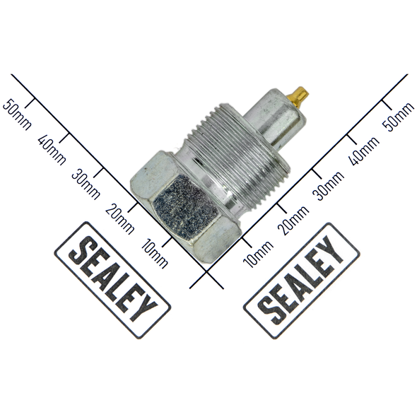 Sealey Hose coupler