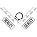 Sealey Circlip for Shaft