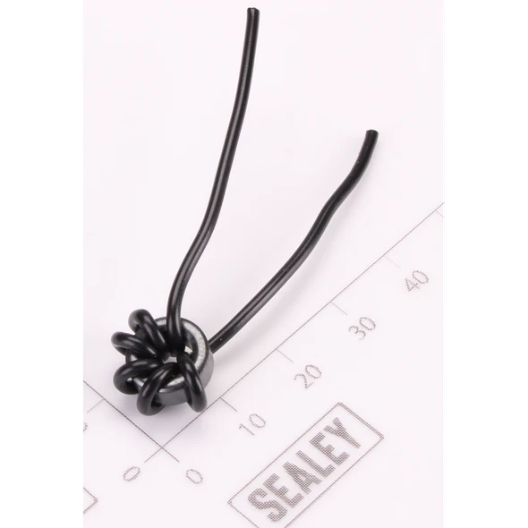 Sealey Inductor (Short)