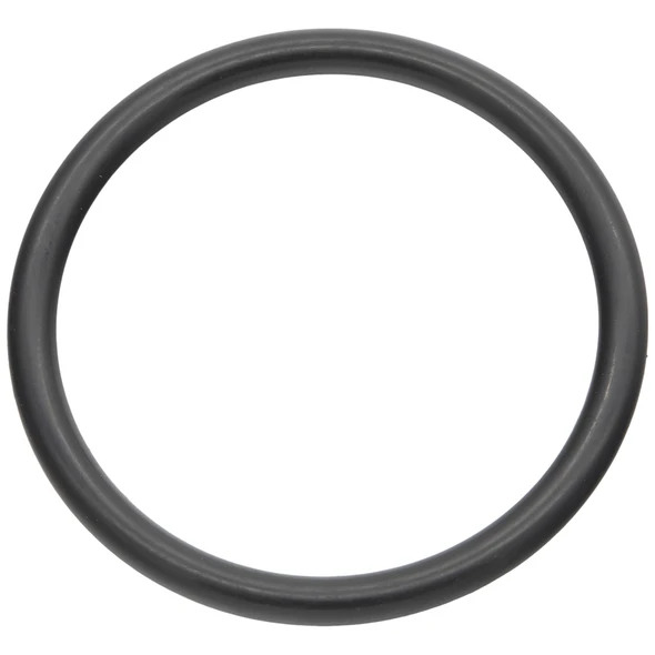 Sealey O-Ring