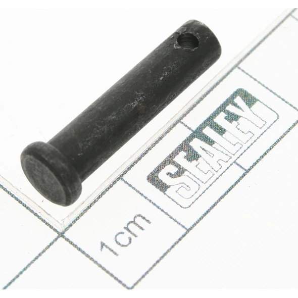 Sealey Pin