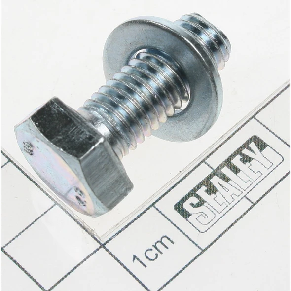 Sealey Screw nail (so)