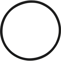 Sealey Sealing Ring for HEPA Filter PC200A-23