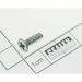 Sealey Screw (st4.2 x 14)