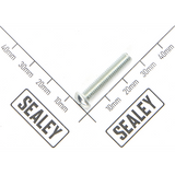 Sealey Pan Head Screw PDM170F.V2-65
