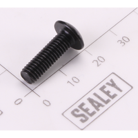 Sealey Screw Pan Head M24x1.4-8 PDM260F.V2-56