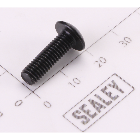 Sealey Screw Pan Head M24x1.4-8