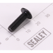 Sealey Screw Pan Head M24x1.4-8