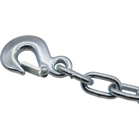 Sealey Chain c/w Hook PH20-V5-H