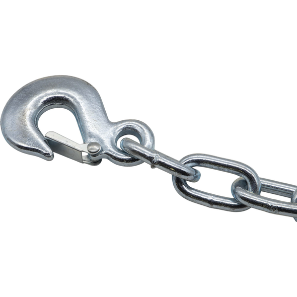 Sealey Chain c/w Hook
