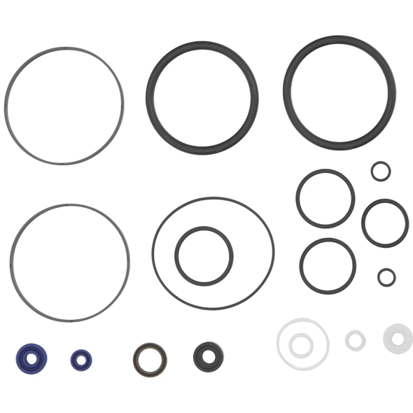 Sealey Seal Kit for Pump Assembly (for PPF301S,PPF501S)